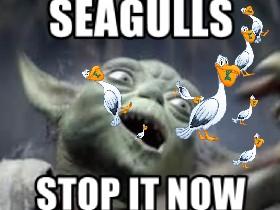 yoda hates seagulls