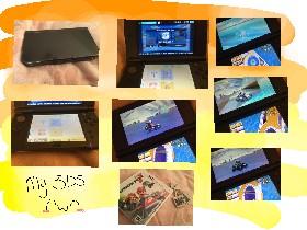 My 3DS