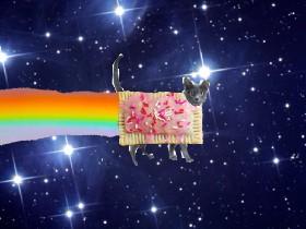 Real nyan cat 1