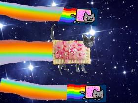 Real nyan cat 1