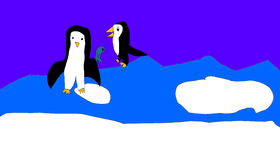 Penguin Animation