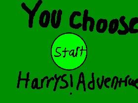 you choose harrys adventures