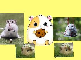 hamster simulator 