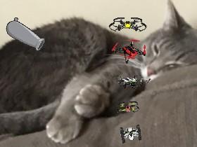 Kitten Cannon!!! 1