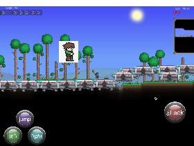 terraria/ripoff