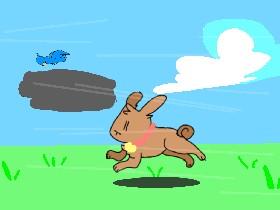 Bunny Run+Animation 1