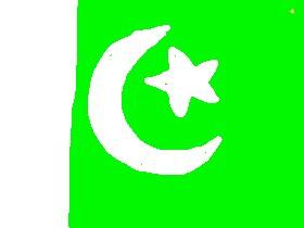 Pakistan flag