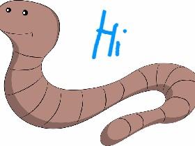 worm