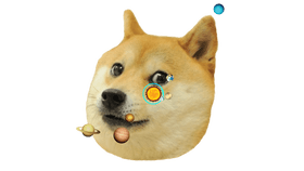 the doge universe