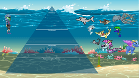 Ocean Ecological Pyramid