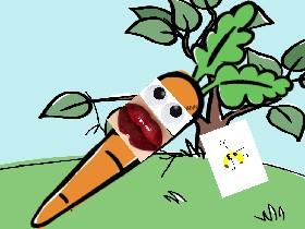 space carrot SLEEPING BOBBY