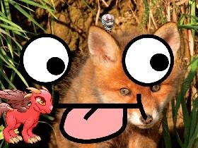 Googly Eyes red fox