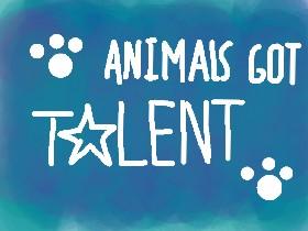 🐶Animal’s Got Talent🐶 1