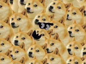 Infinity doge 1