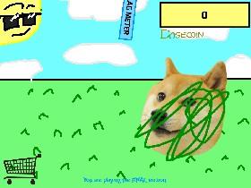 Doge 1