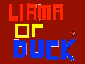 lamma or duck test 1