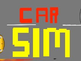 Car Sim RELEASED 1