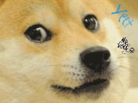 Chat with Mr. Doge 1 1