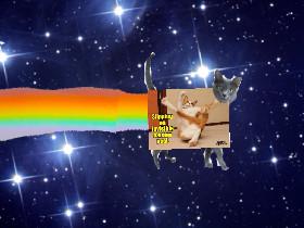 meme nyan cat 1