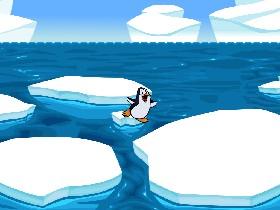 peguin life