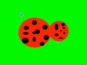 Draw a clumsy ladybug