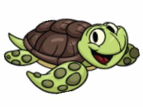 happy turtle