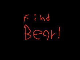 find bear