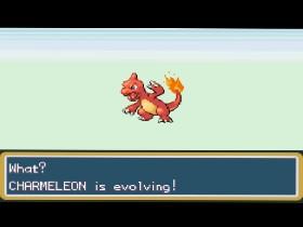 Charmeleon evolving 