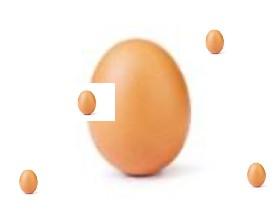 Everyone loves eggsssssssssss!!!!!¡