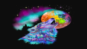 rainbow wolf