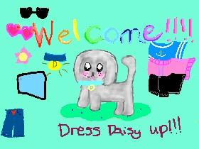 Dress up Daisy the dog!  1