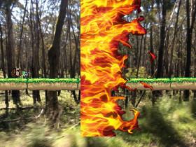 Forest Fire 1