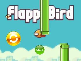 flappy student