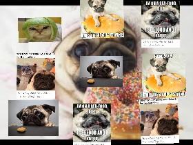 Pug Life2