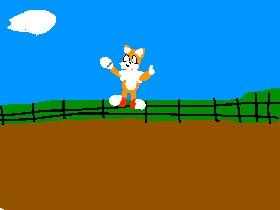 tails animation 11