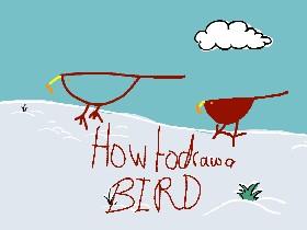 how to draw a bird