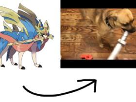 My dog is Zacian