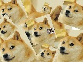 Doge World!! 1