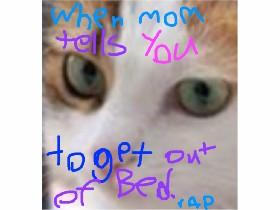 cat meme!