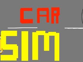 Car Sim