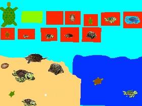 Turtle Clicker!  1