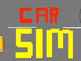 Car Sim RELEASED 1