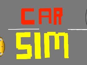 Car Sim RELEASED 1