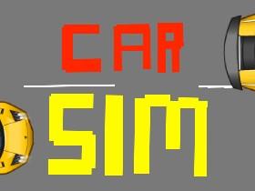 Car Simulator