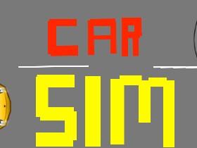 Car Sim RELEASED 1