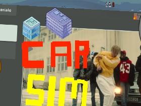 Car Sim RELEASED 1 1