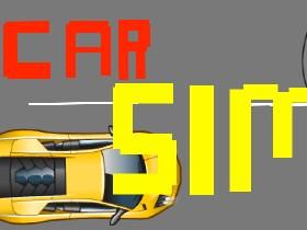 Car Sim RELEASED 1