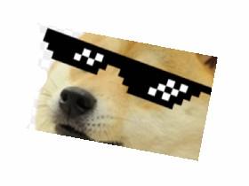 ask mlg doge 1