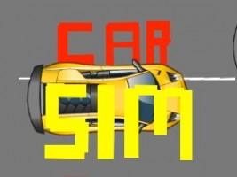 Car Sim RELEASED 1