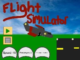 Flight Simulator 1